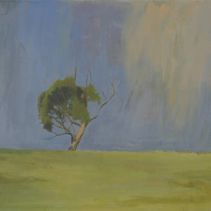 Jason Jones 'Box Tree above Bullarook Creek Central Highlands'