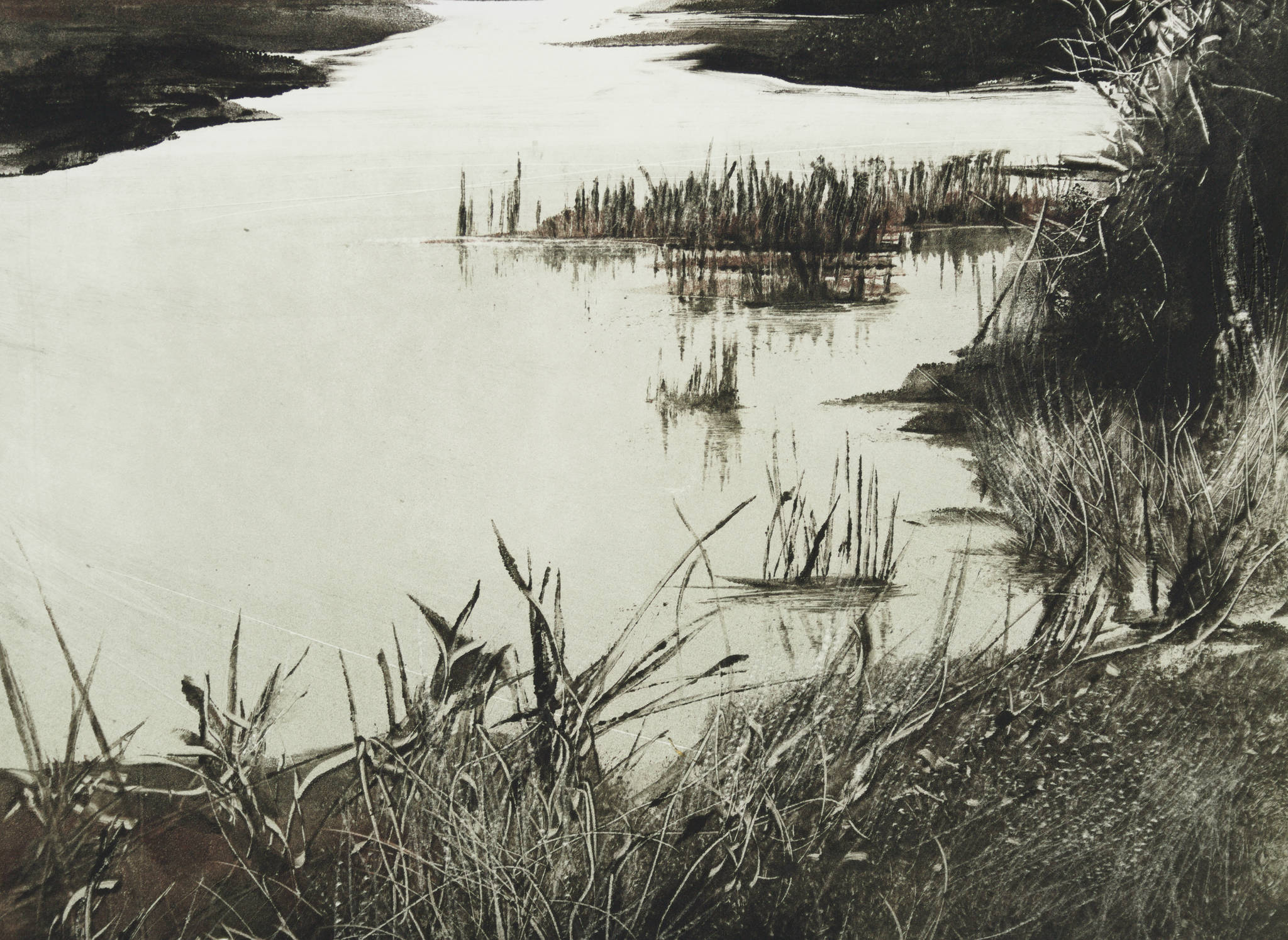 Marketa Kemp 'Jawbone Reserve XI'