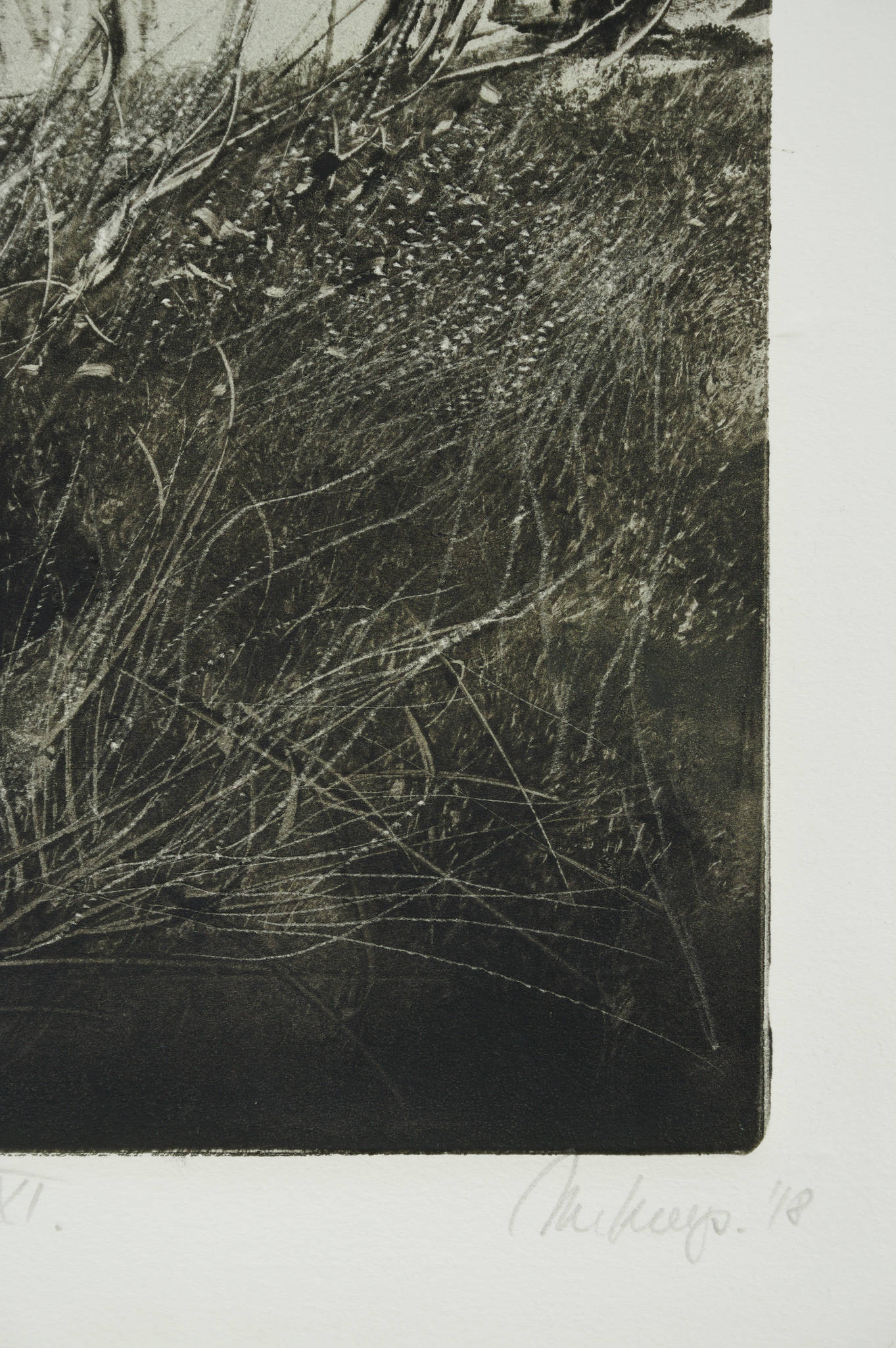 Marketa Kemp 'Jawbone Reserve XI'