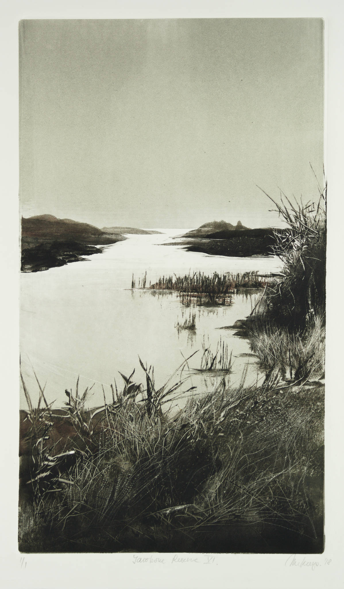 Marketa Kemp 'Jawbone Reserve XI'