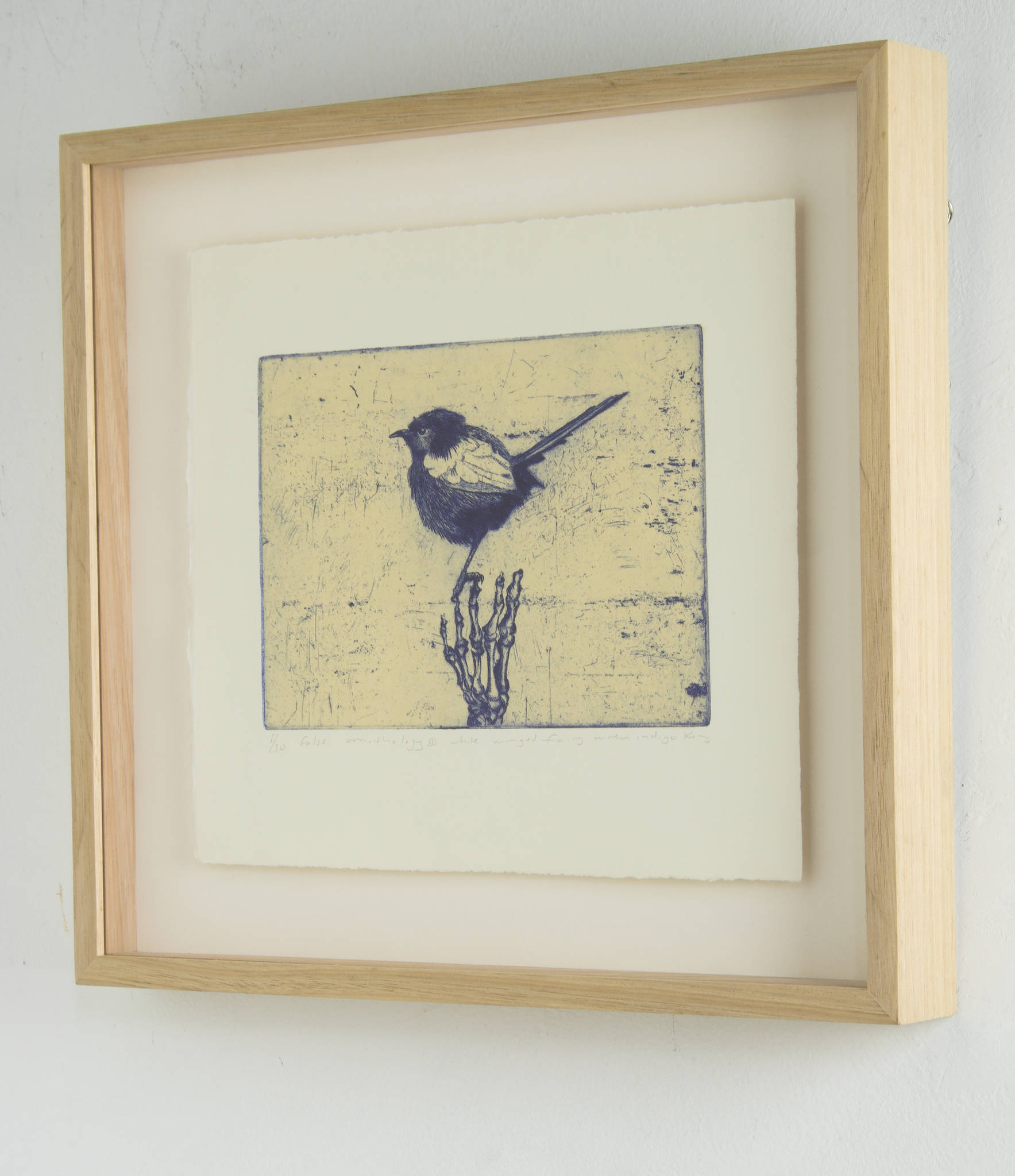 Martin King 'false ornithology III white winged fairy wren'