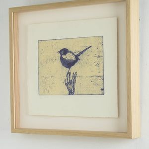 Martin King 'false ornithology III white winged fairy wren'