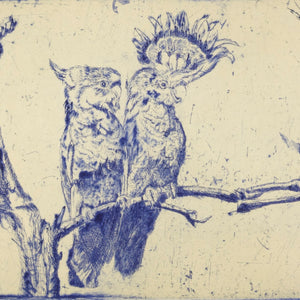 Martin King 'false ornithology II major mitchell indigo'