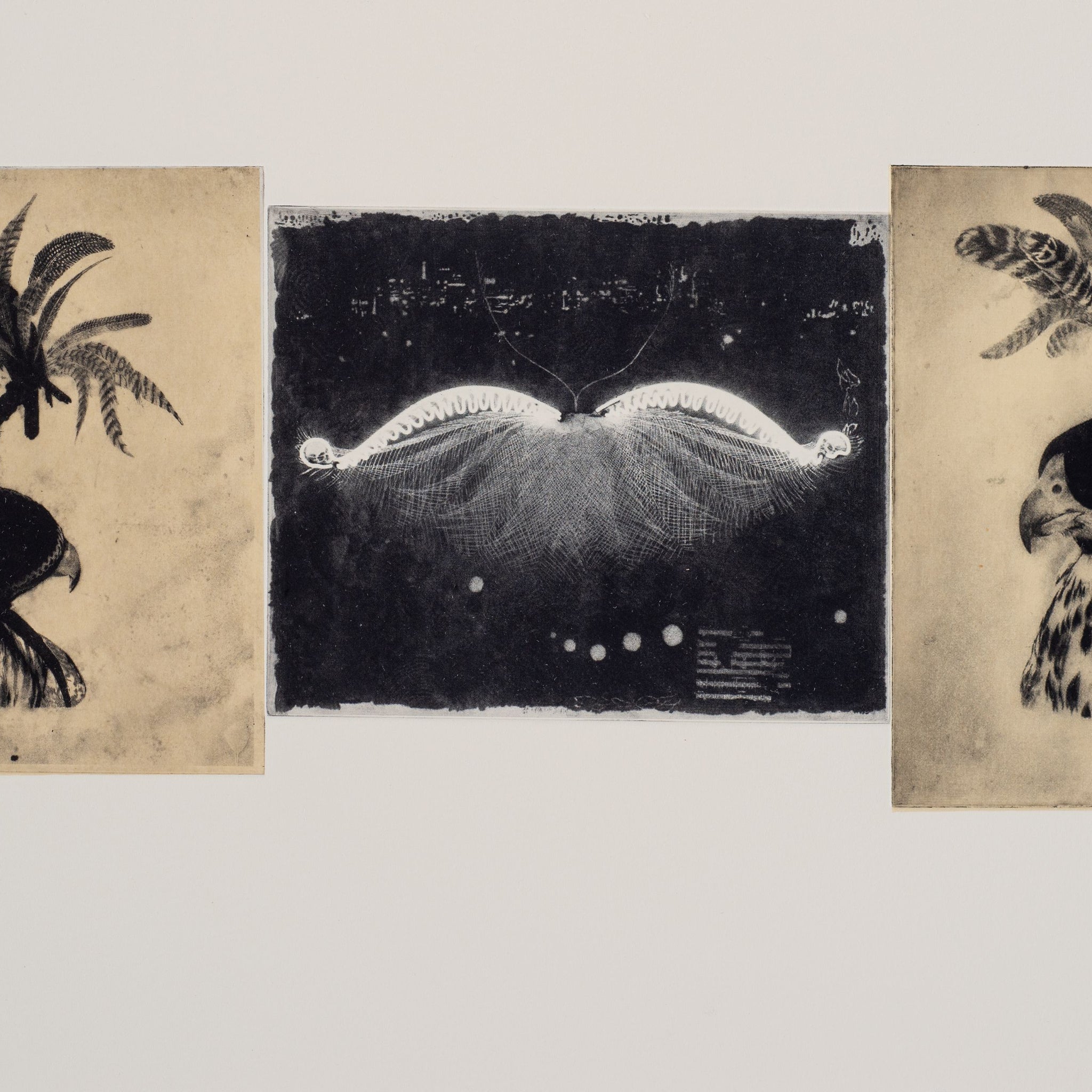 Martin King 'hoodwinks and lyres study for the volumes I'