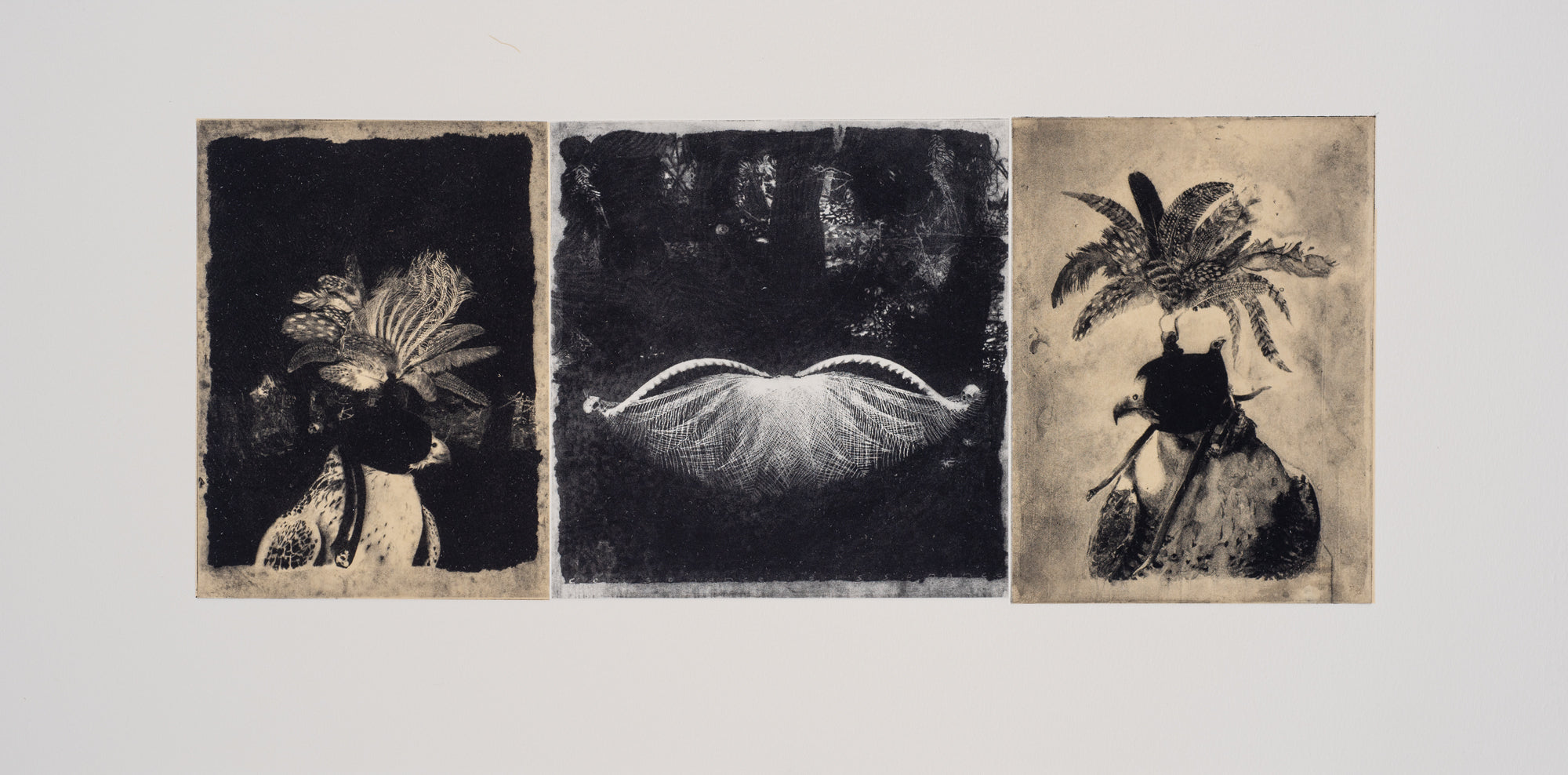 Martin King 'hoodwinks and lyres studies for volumes II'