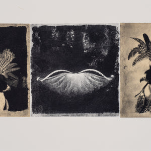 Martin King 'hoodwinks and lyres studies for volumes II'
