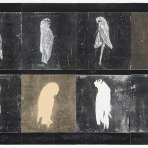 Martin King 'lighting the way for the journey of lost souls'