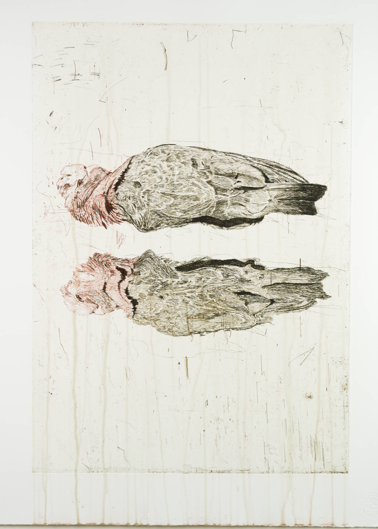 Martin King 'mirage I'
