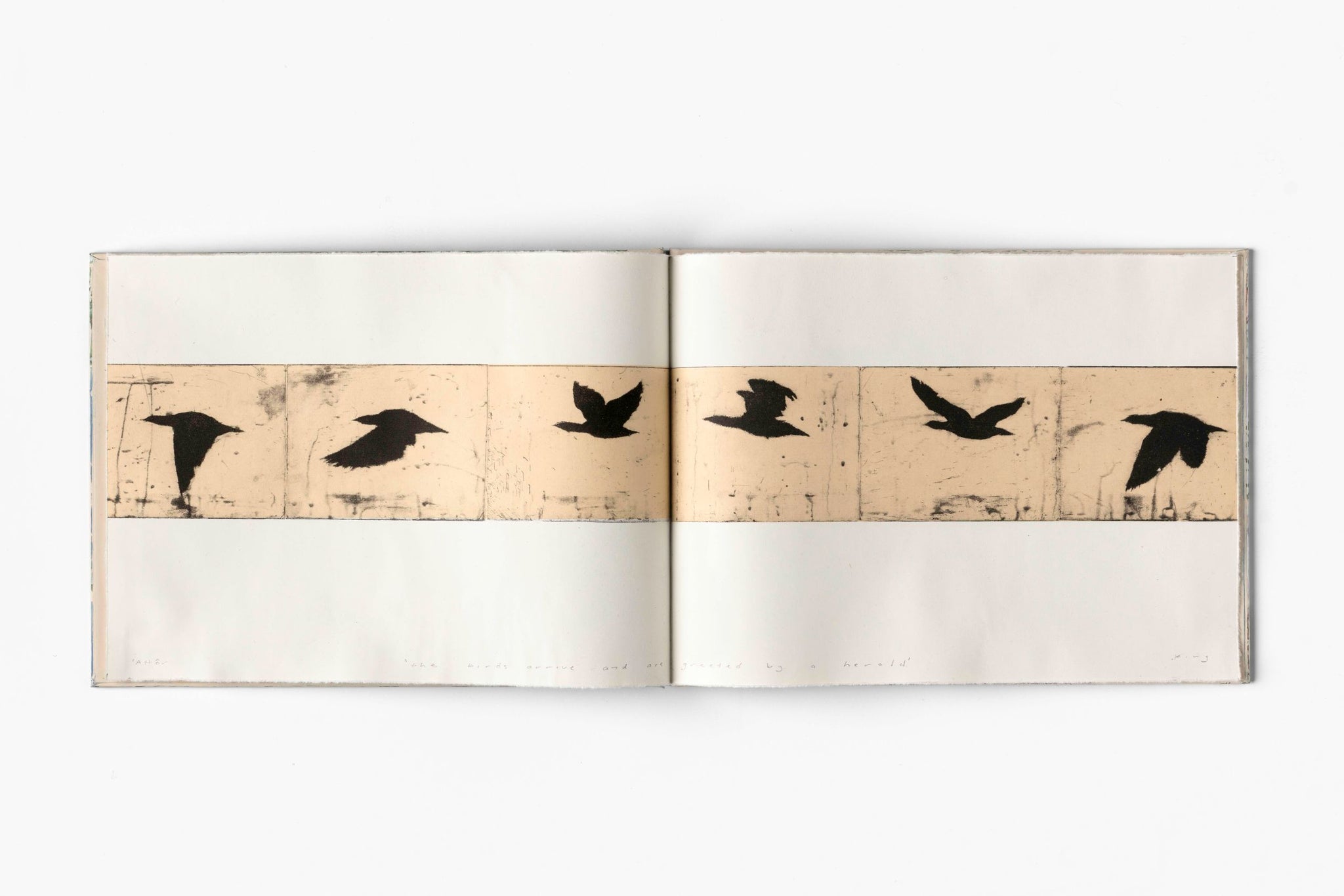 Martin King 'the birds arrive and are greeted by a herald vo. 1'