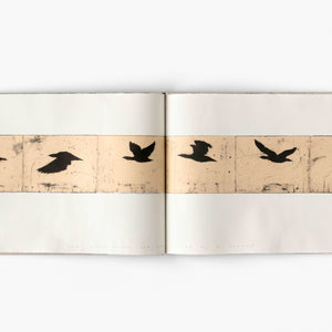 Martin King 'the birds arrive and are greeted by a herald vo. 1'