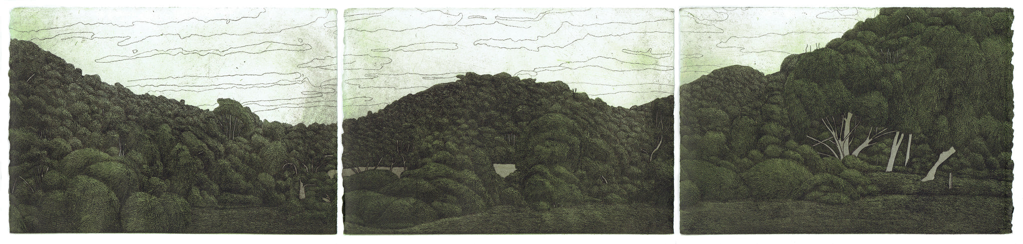 Damon Kowarsky 'Panorama, Koroitj'