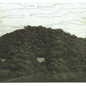 Damon Kowarsky 'Panorama, Koroitj'