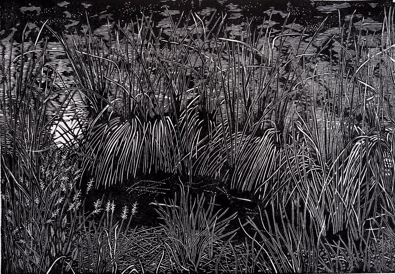 Chris Lawry 'Lake’s Edge'