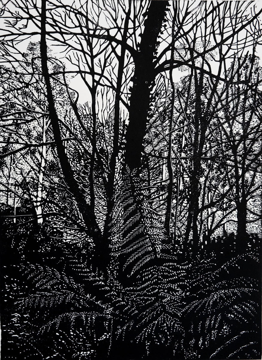 Chris Lawry 'Morning light'