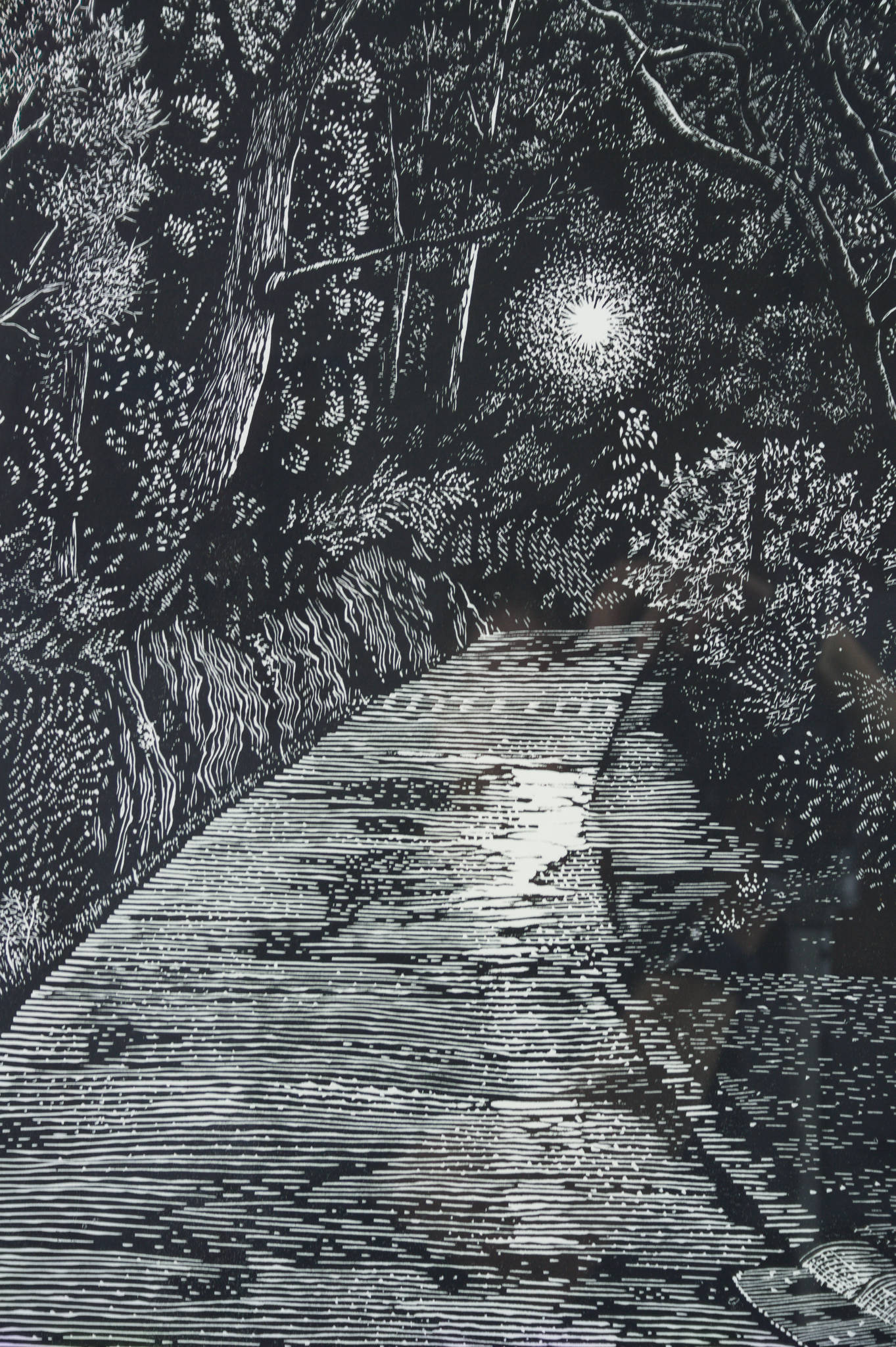 Chris Lawry 'My evening walk'