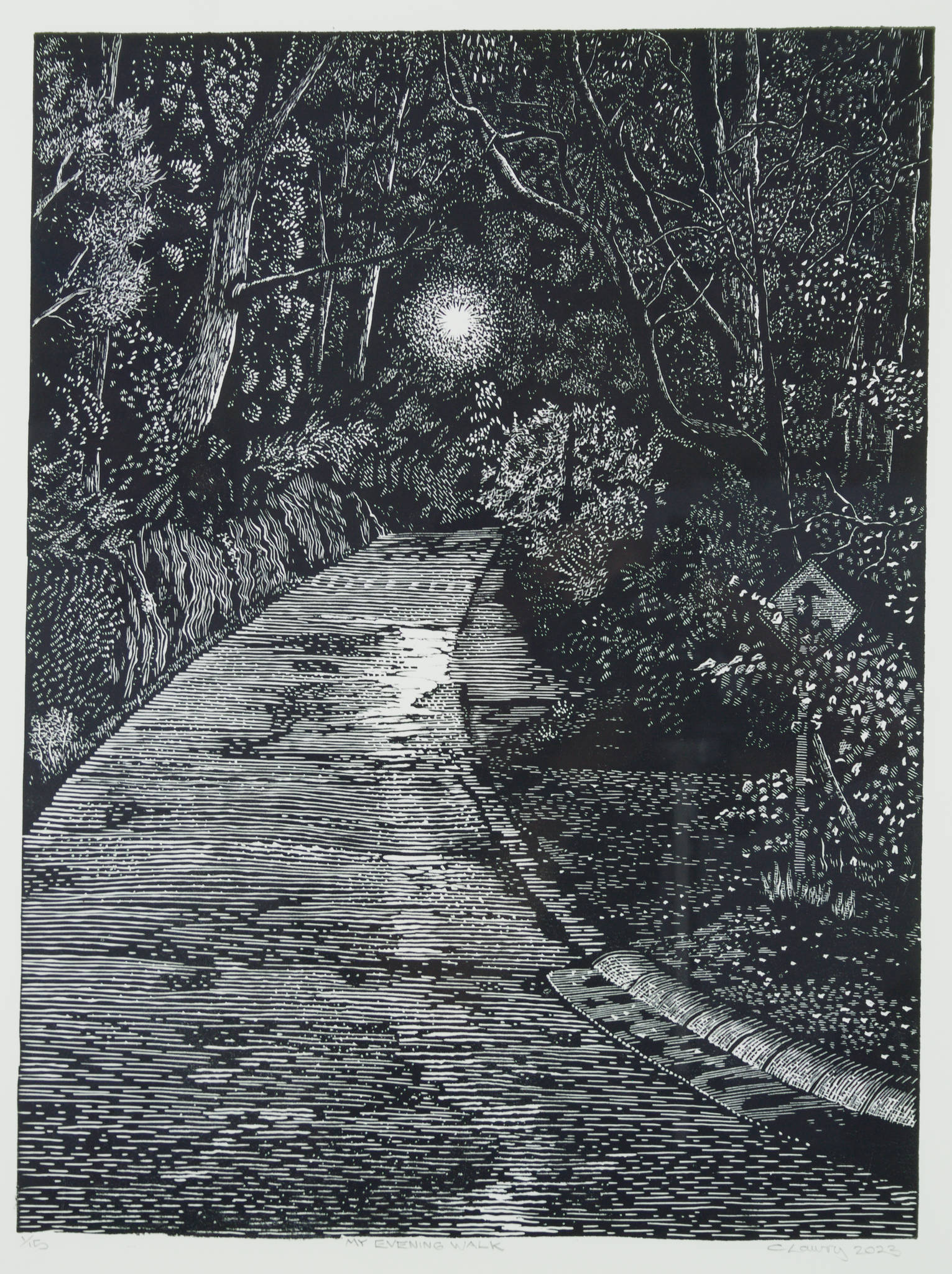 Chris Lawry 'My evening walk'