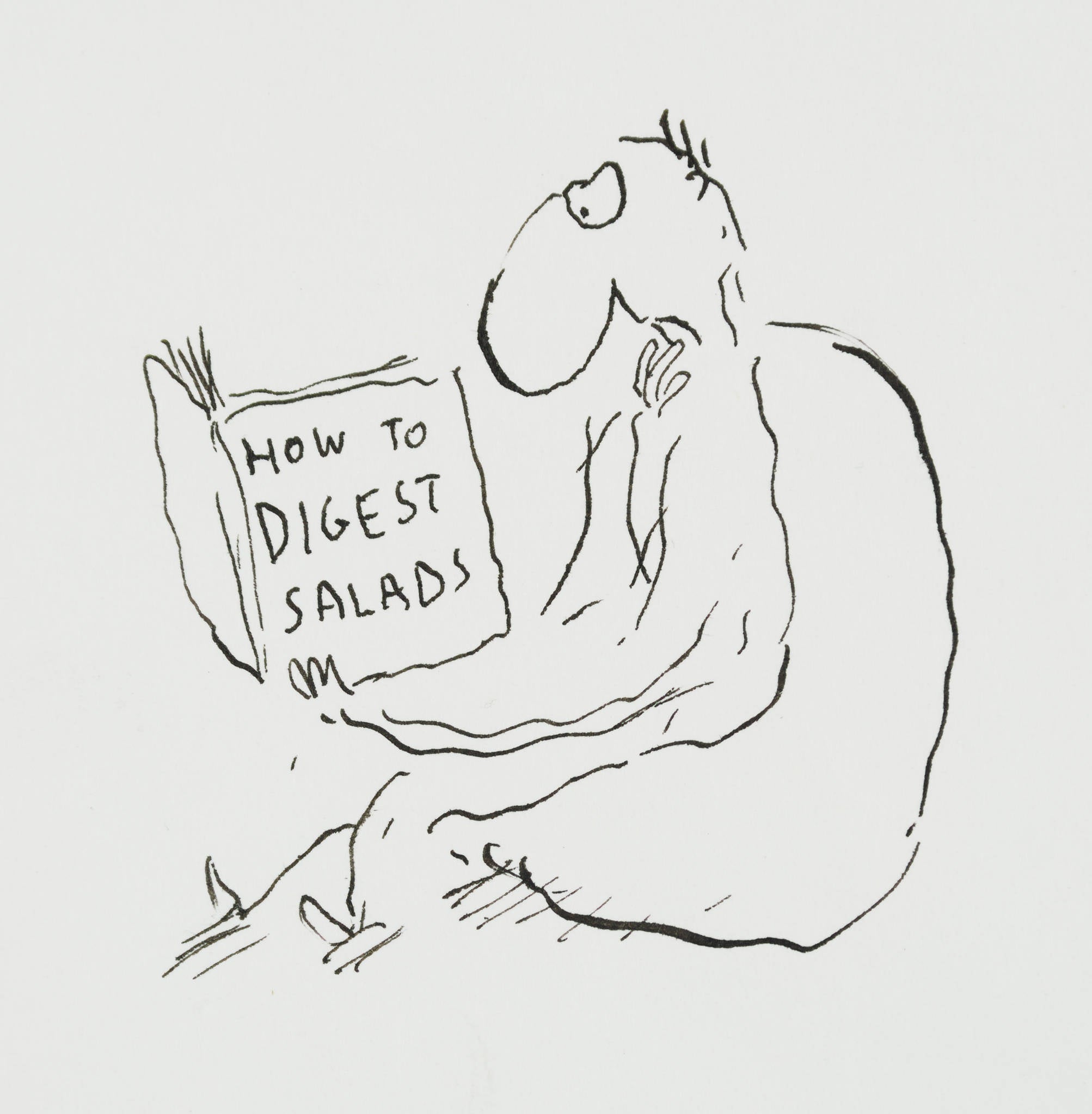 Michael Leunig 'How to Make Salads'