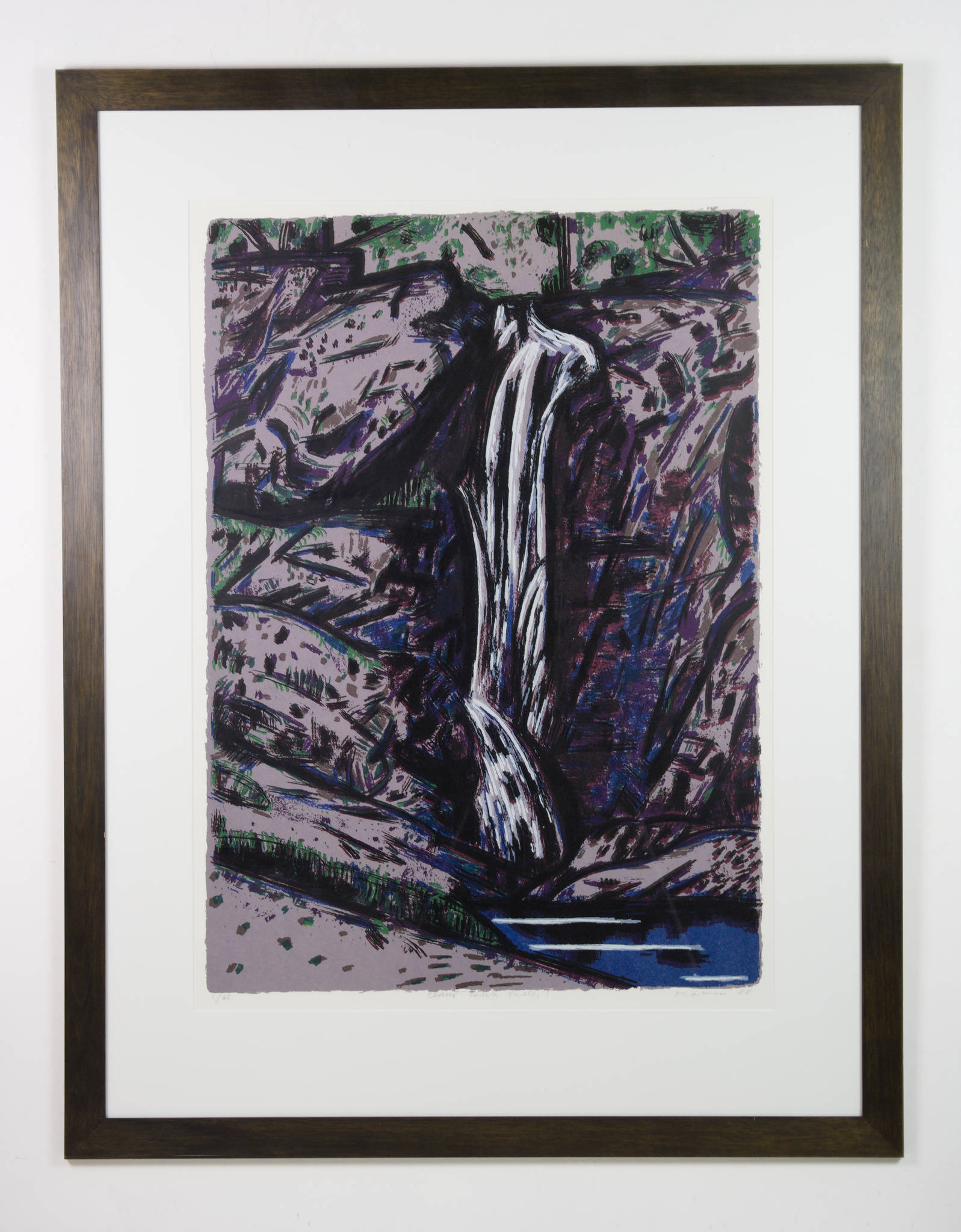 Jeffrey Makin 'Cedar Creek Falls I'