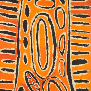 Tjunkiya Napaltjarri 'Umari'