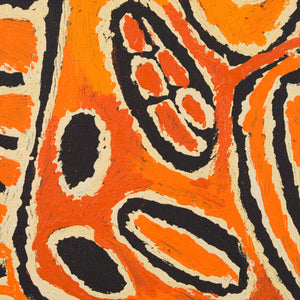 Tjunkiya Napaltjarri 'Umari'
