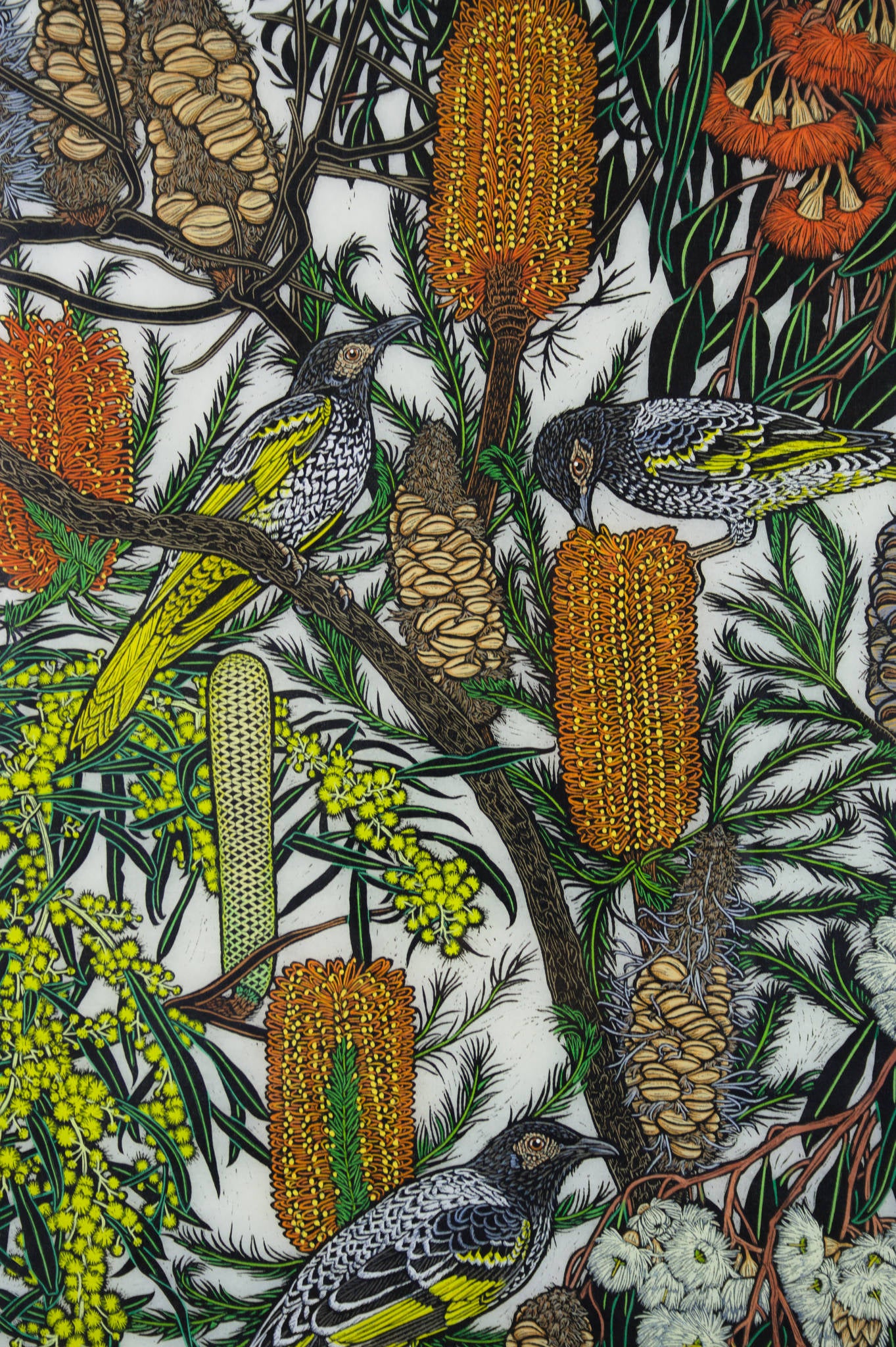 Rachel Newling 'Regent Honeyeater with Native Flowers'