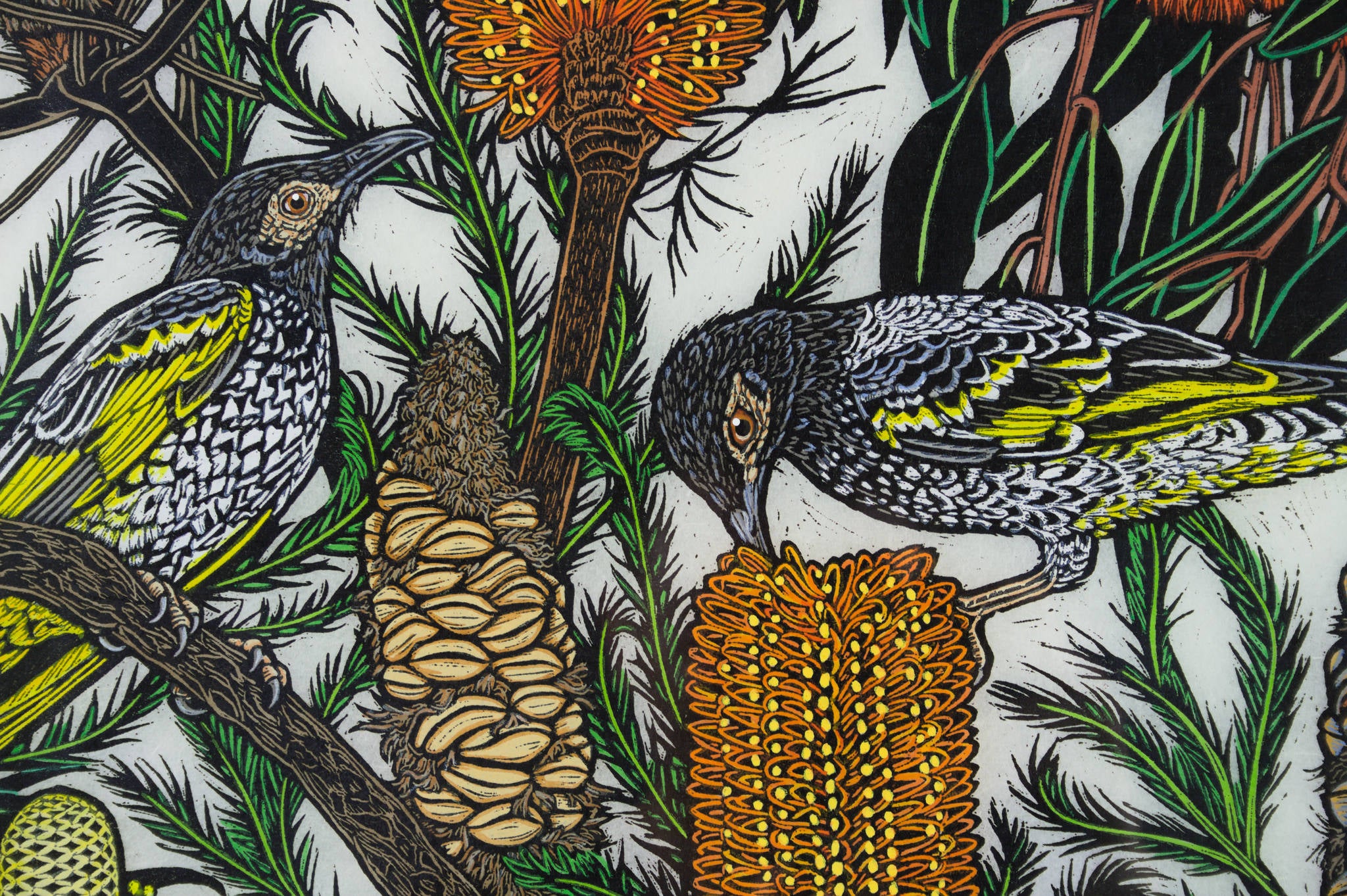 Rachel Newling 'Regent Honeyeater with Native Flowers'