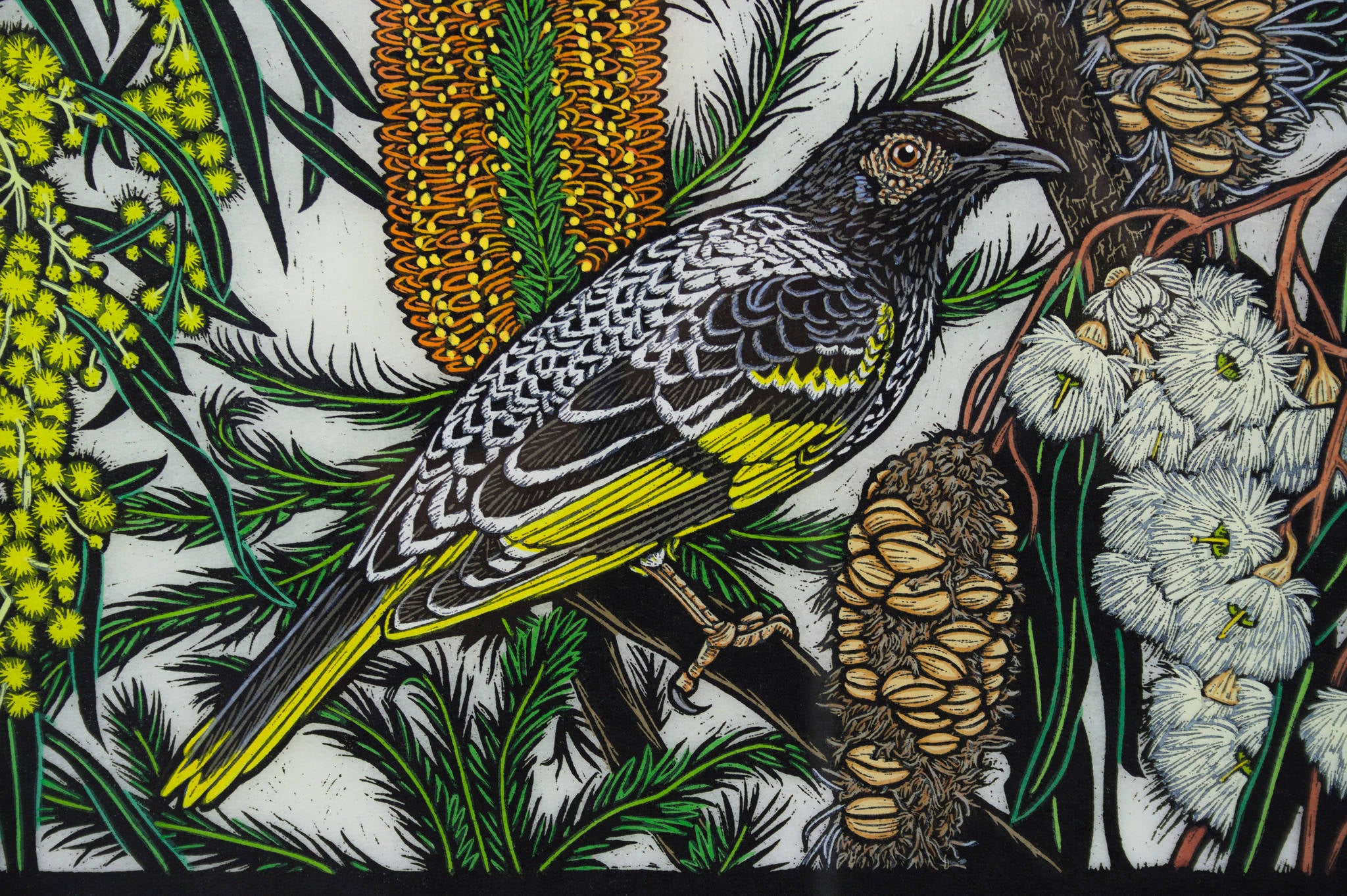 Rachel Newling 'Regent Honeyeater with Native Flowers'