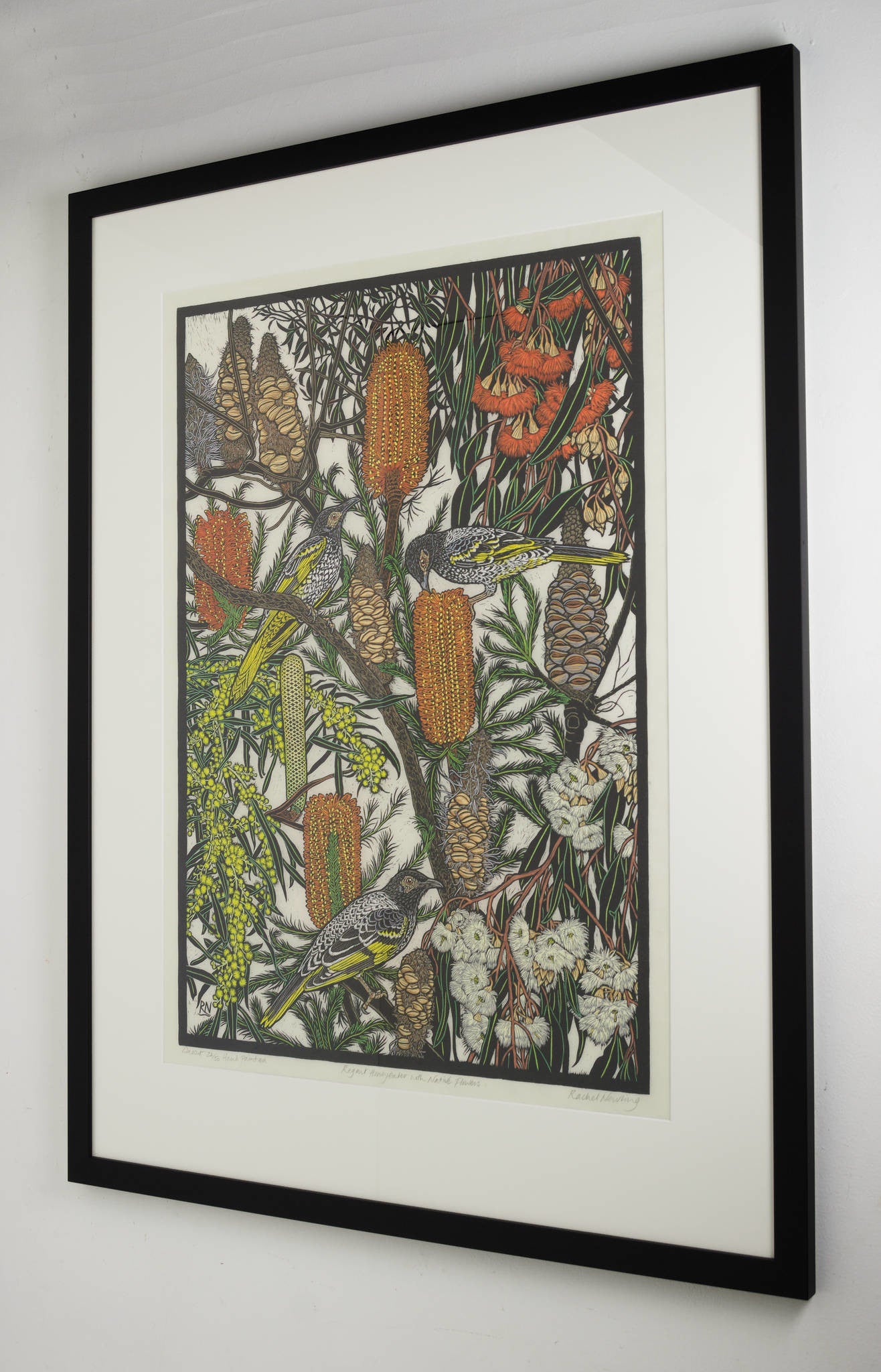 Rachel Newling 'Regent Honeyeater with Native Flowers'