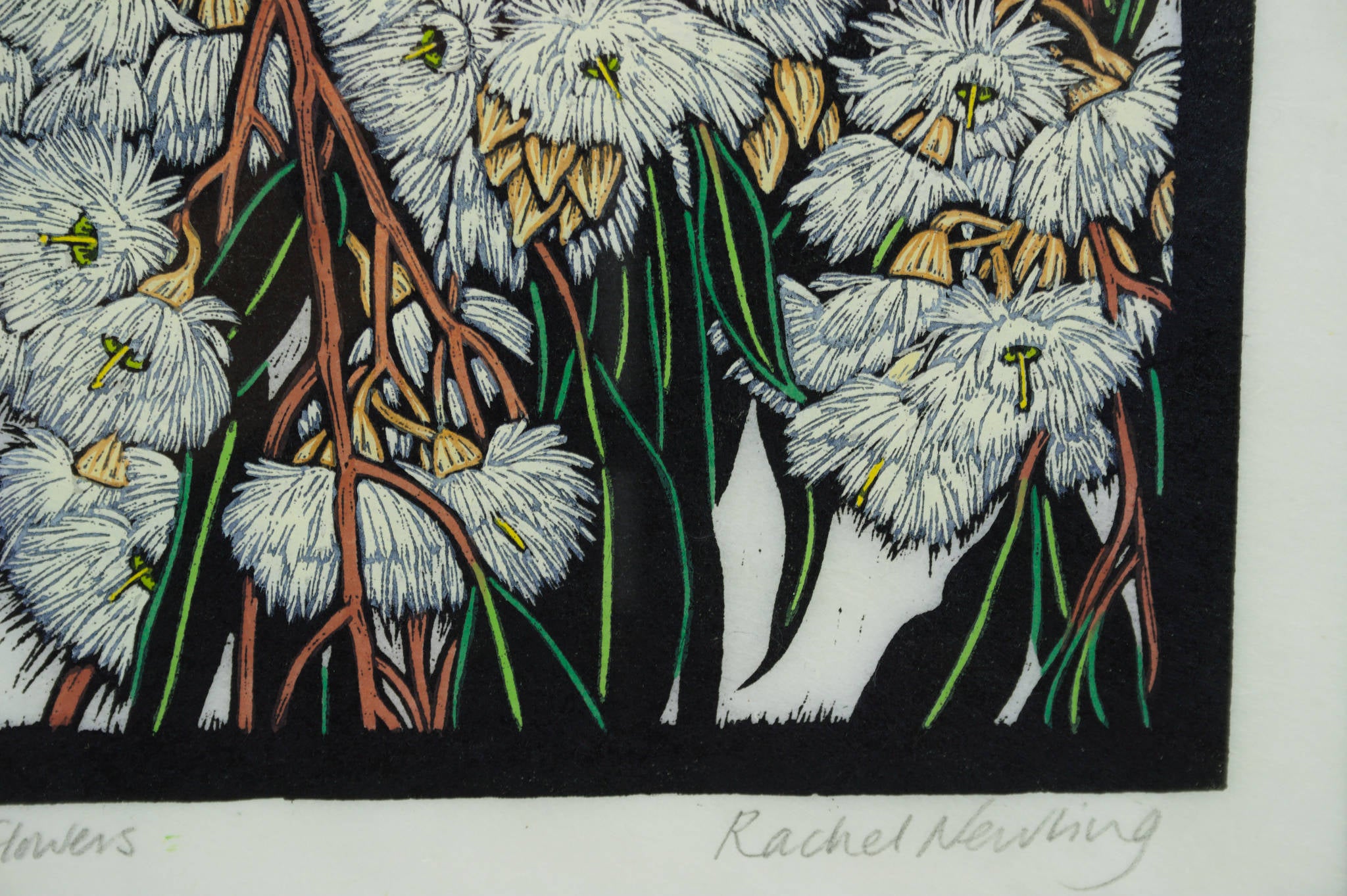 Rachel Newling 'Regent Honeyeater with Native Flowers'