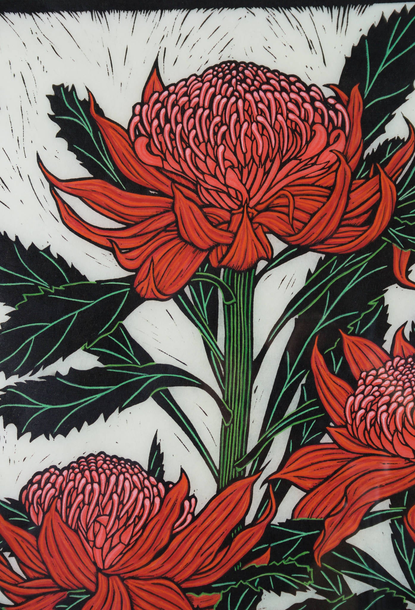 Rachel Newling 'Three Waratahs'