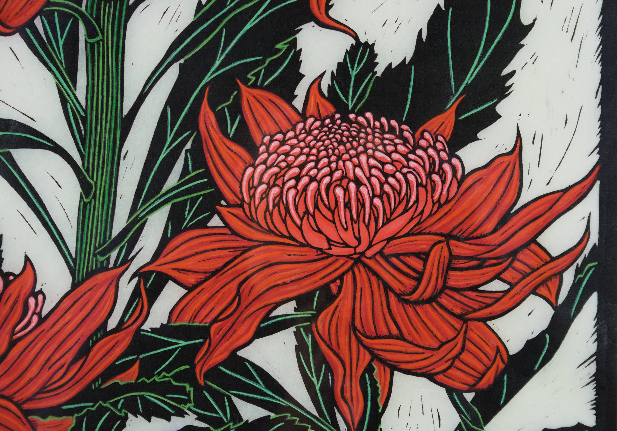 Rachel Newling 'Three Waratahs'