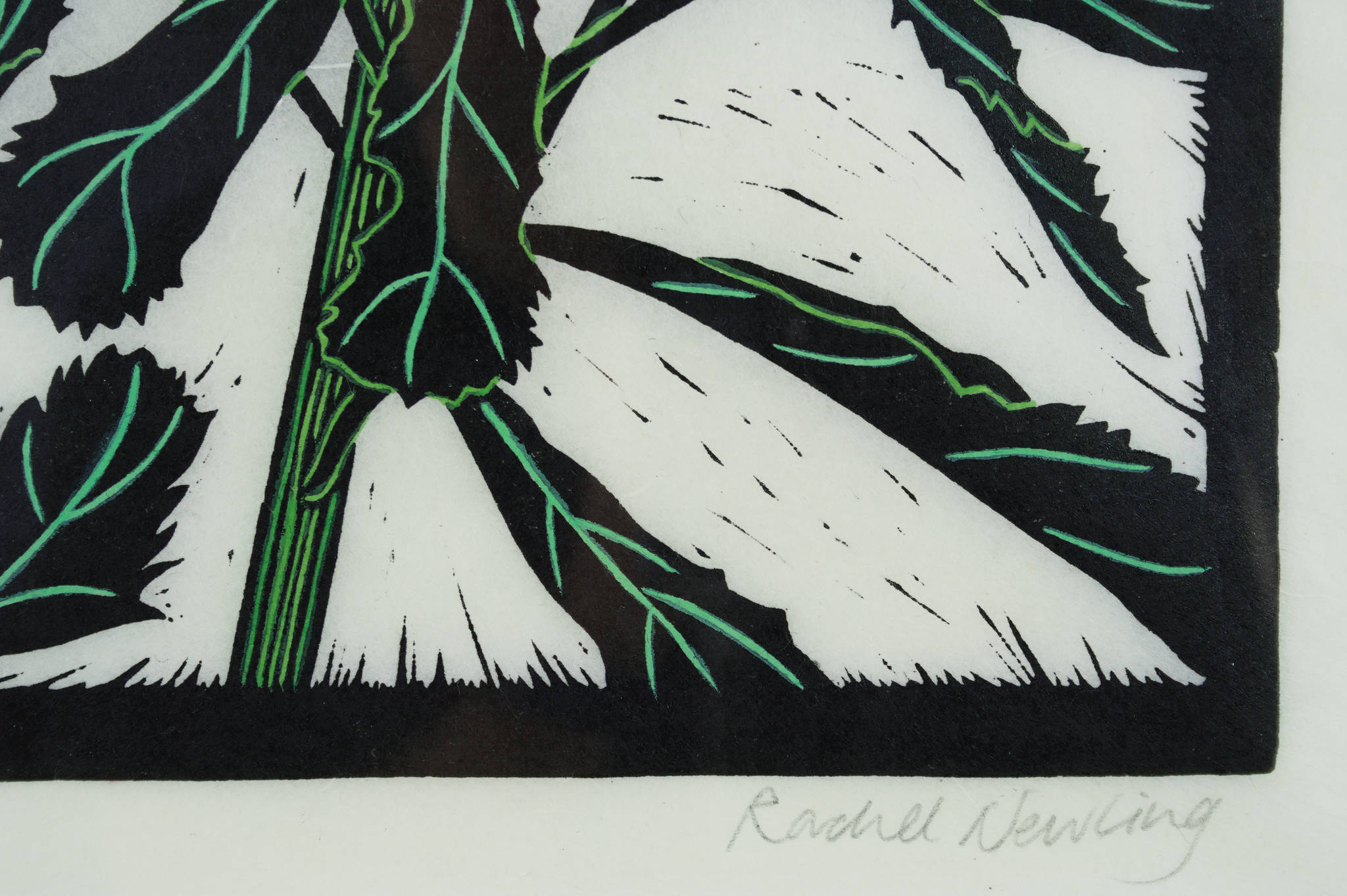 Rachel Newling 'Three Waratahs'