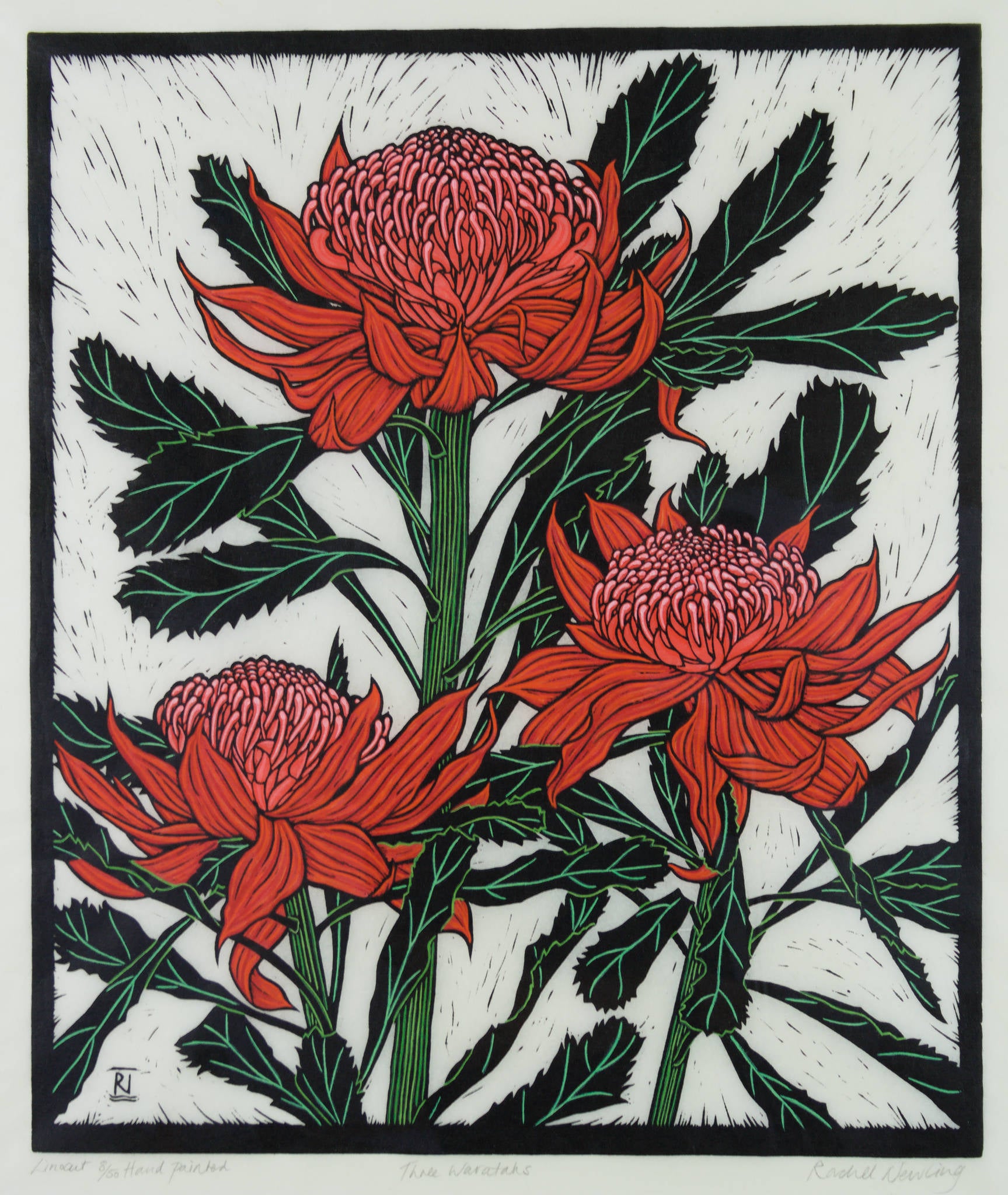 Rachel Newling 'Three Waratahs'
