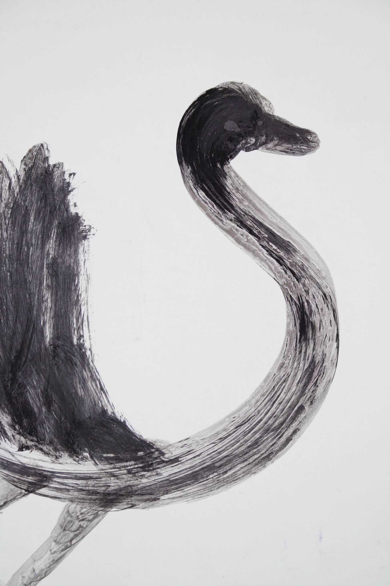 Sidney Nolan 'Black Swan' - Collected by James