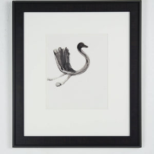 Sidney Nolan 'Black Swan' - Collected by James