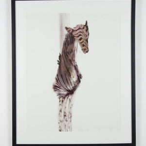 Sidney Nolan 'Drought Carcass'