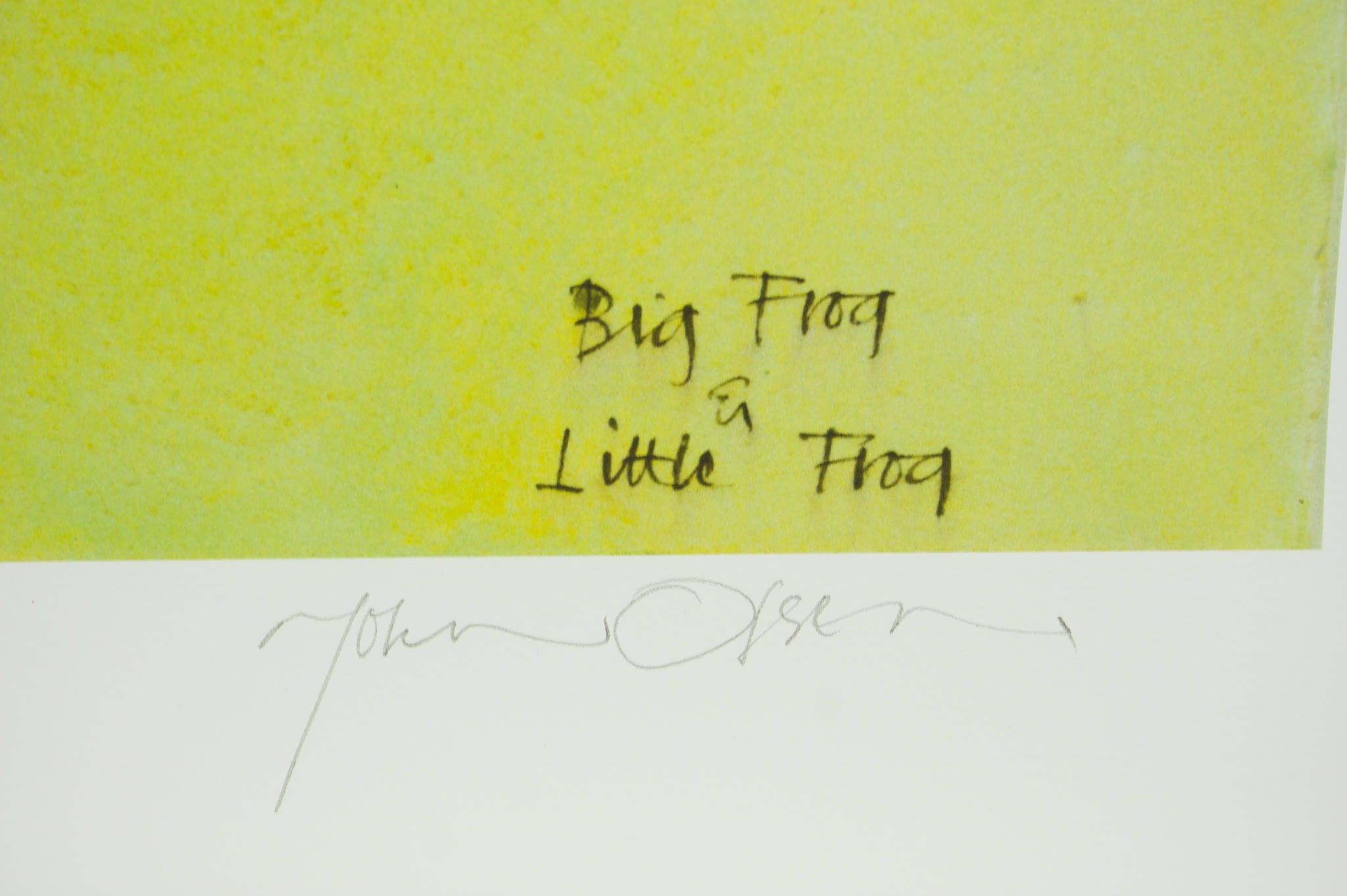 John Olsen 'Big Frog & Little Frog'