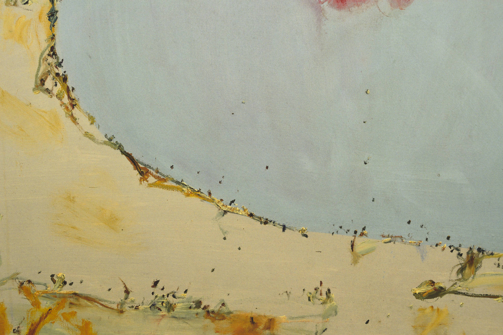 John Olsen 'Salt Lake'