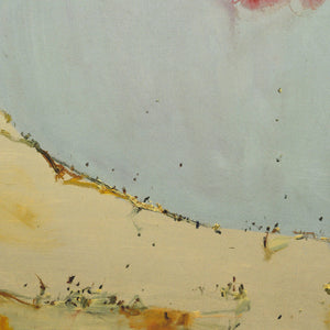 John Olsen 'Salt Lake'