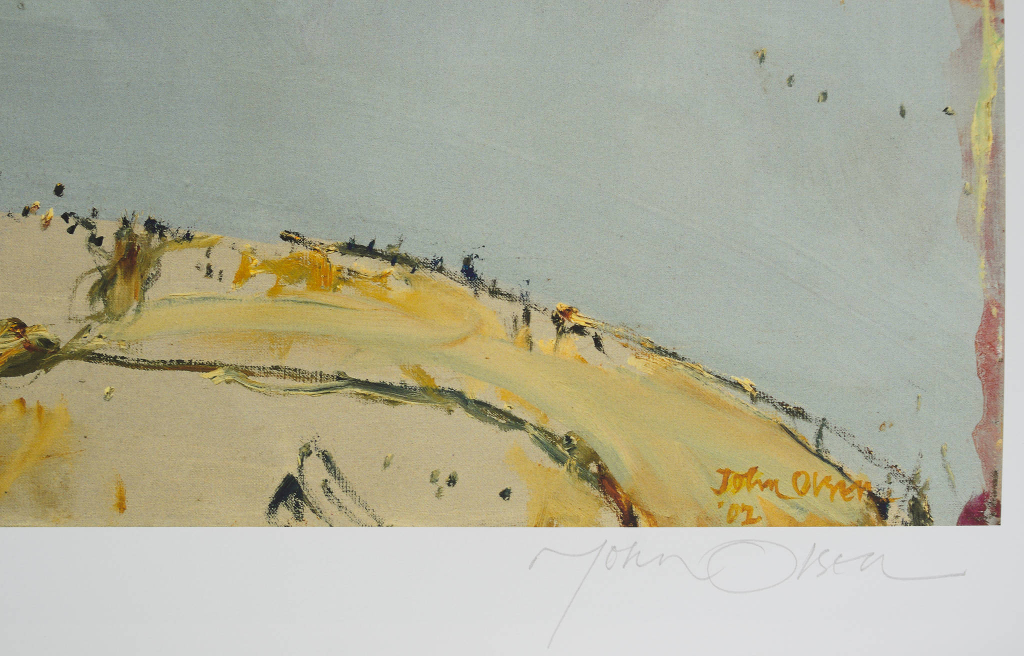 John Olsen 'Salt Lake'