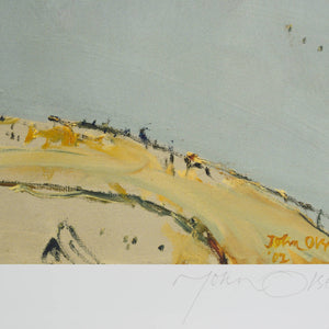 John Olsen 'Salt Lake'