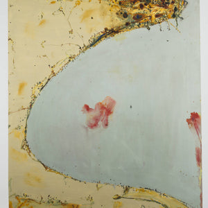 John Olsen 'Salt Lake'