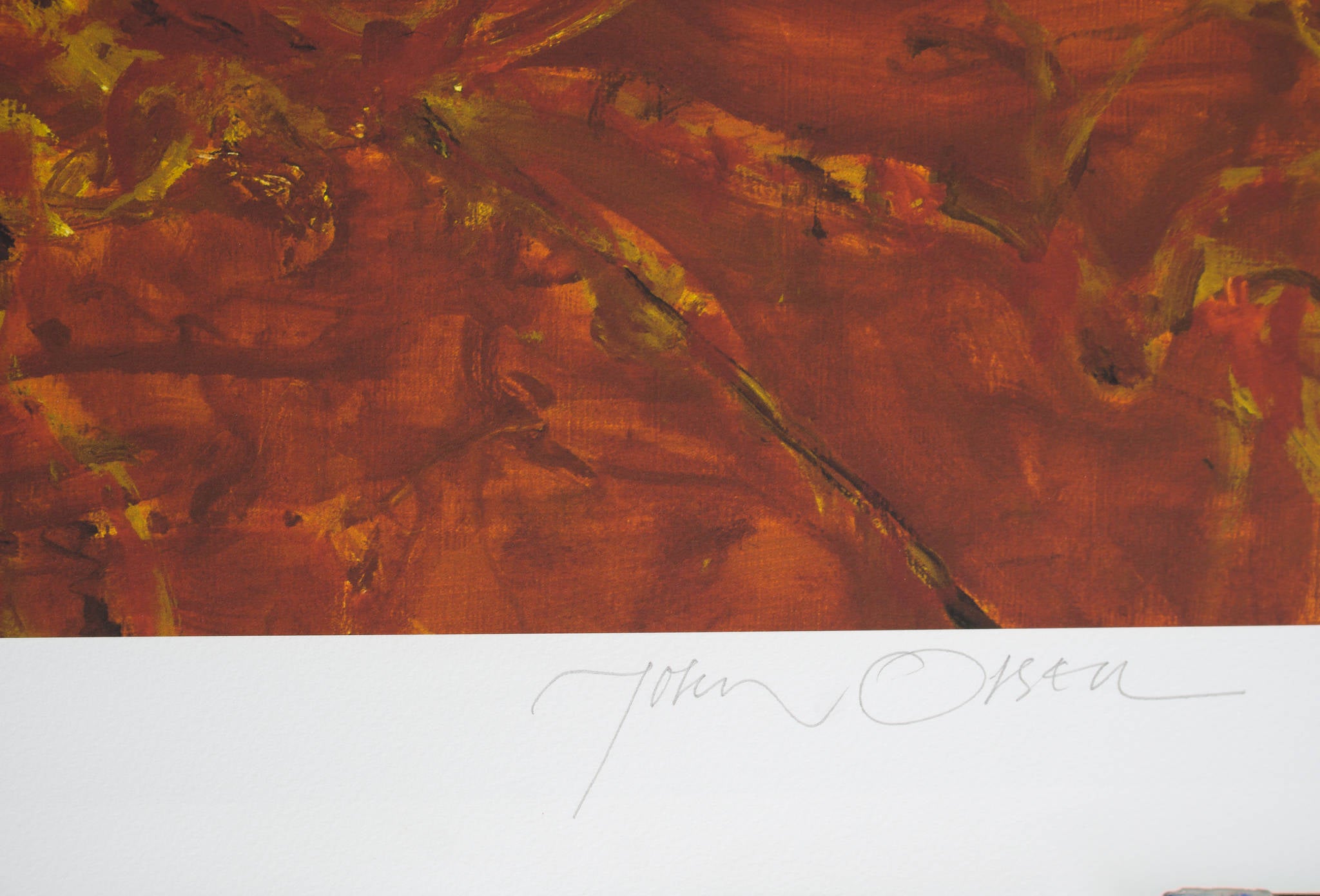 John Olsen 'Galahs Against Hillside'