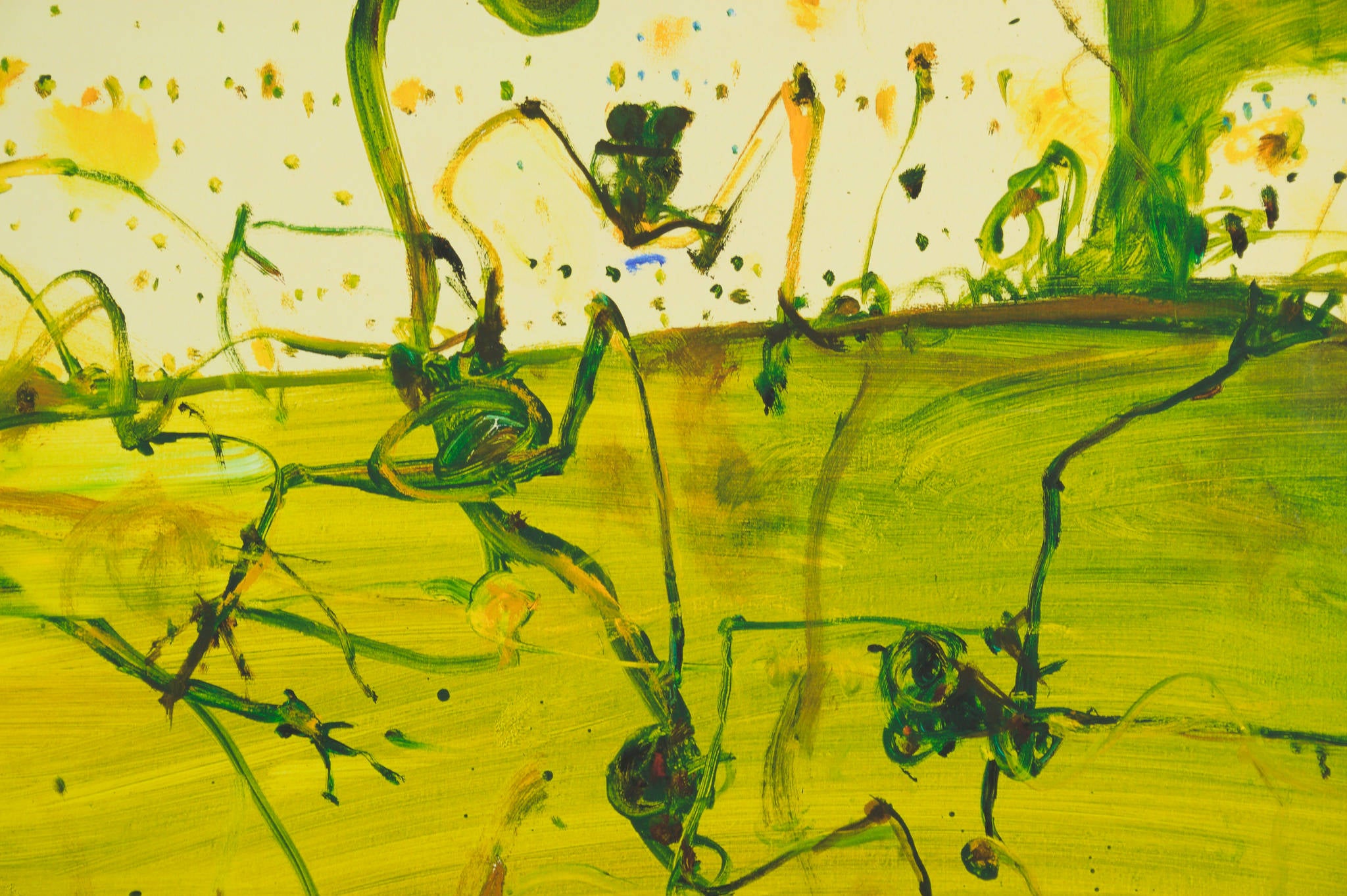 John Olsen 'Frog Dam'