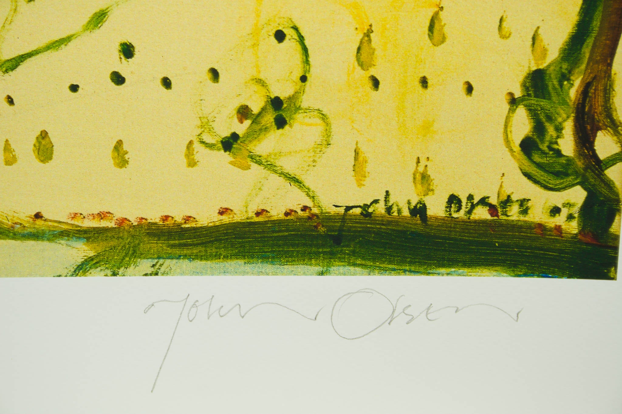 John Olsen 'Frog Dam'