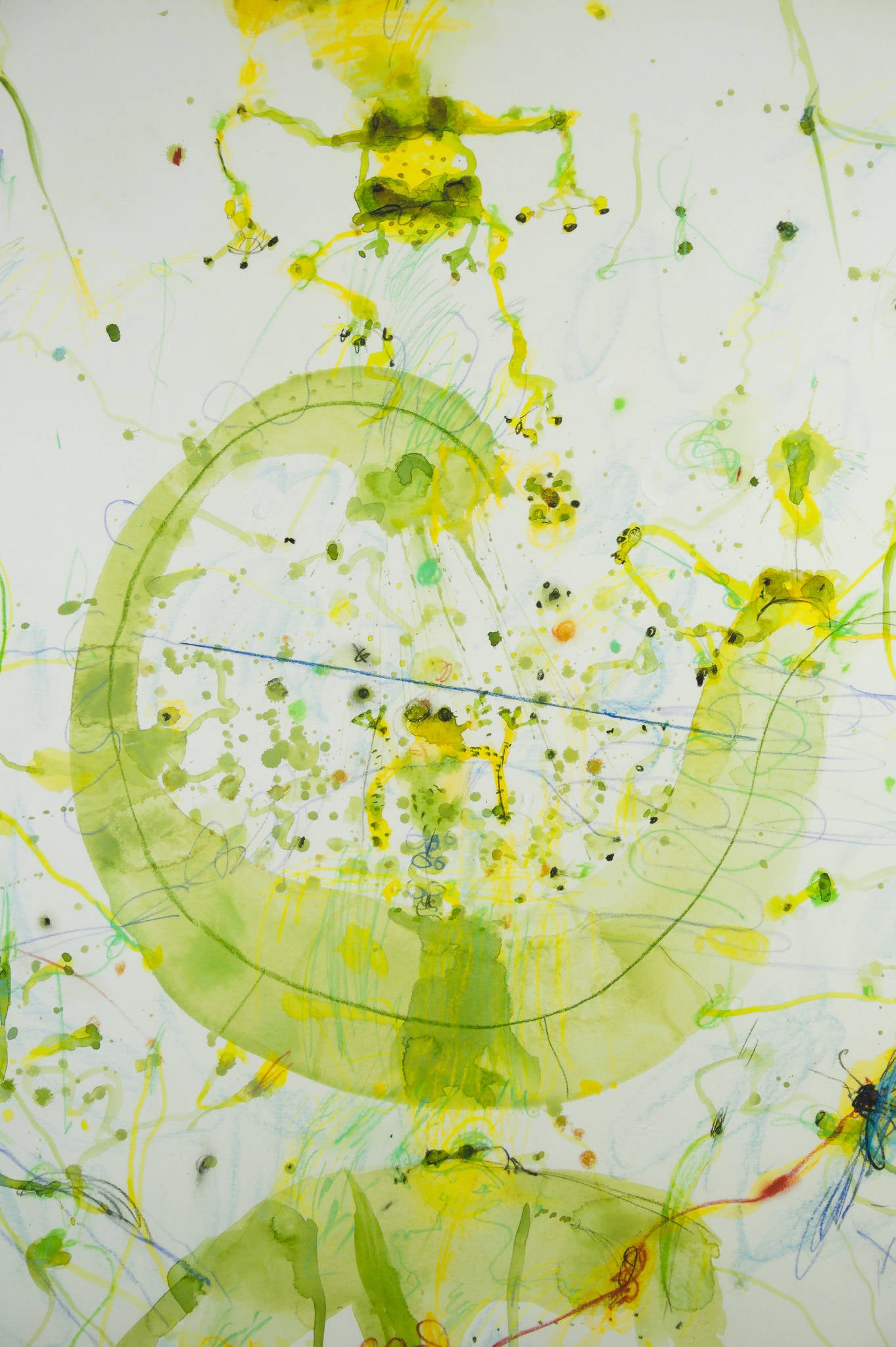 John Olsen 画集　ジョン•オルセン John Olsen 'Wattle and the Chasing Bird Landscape' – Art and