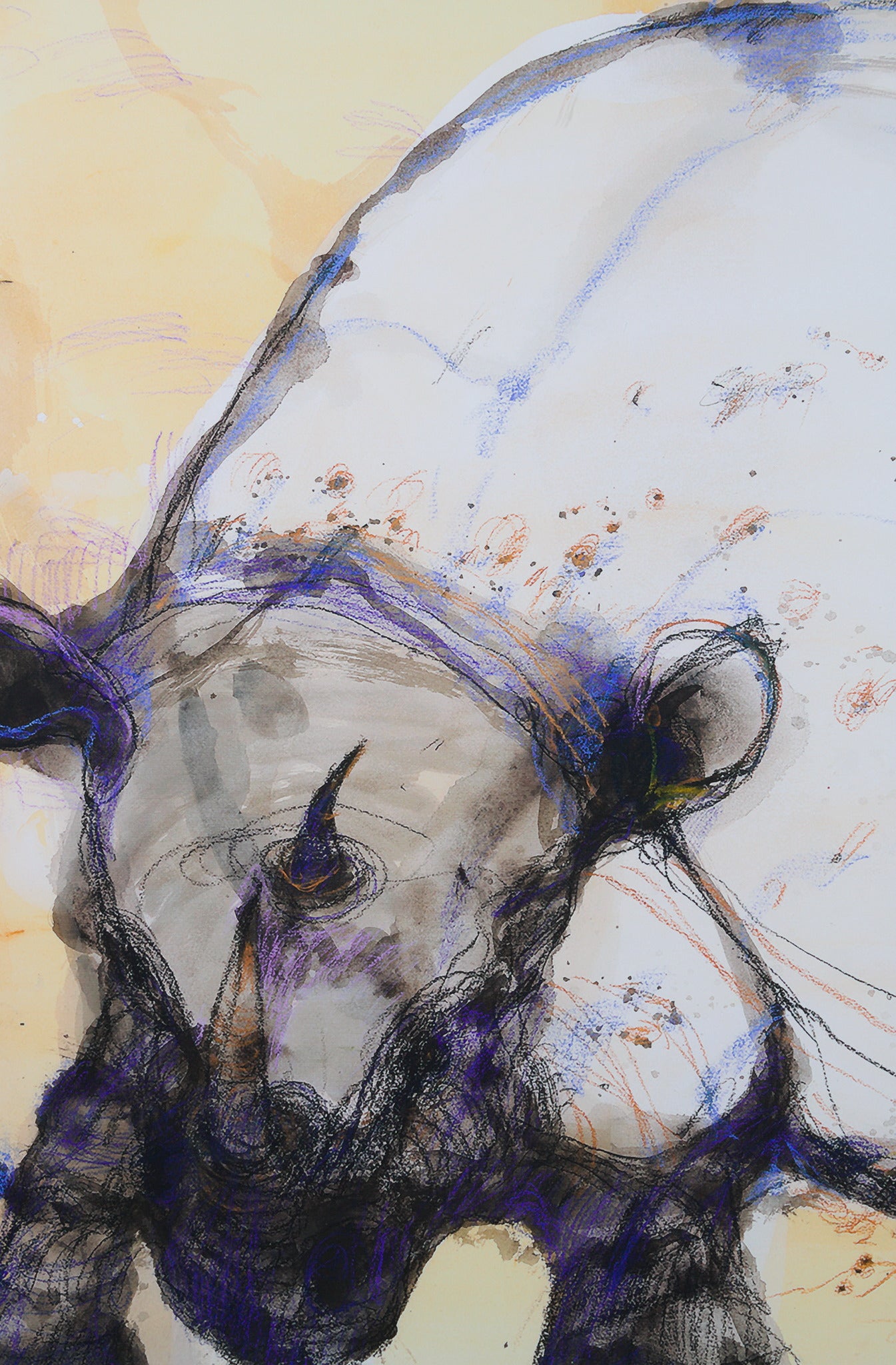 John Olsen 'Kenya' – Art and Collectors