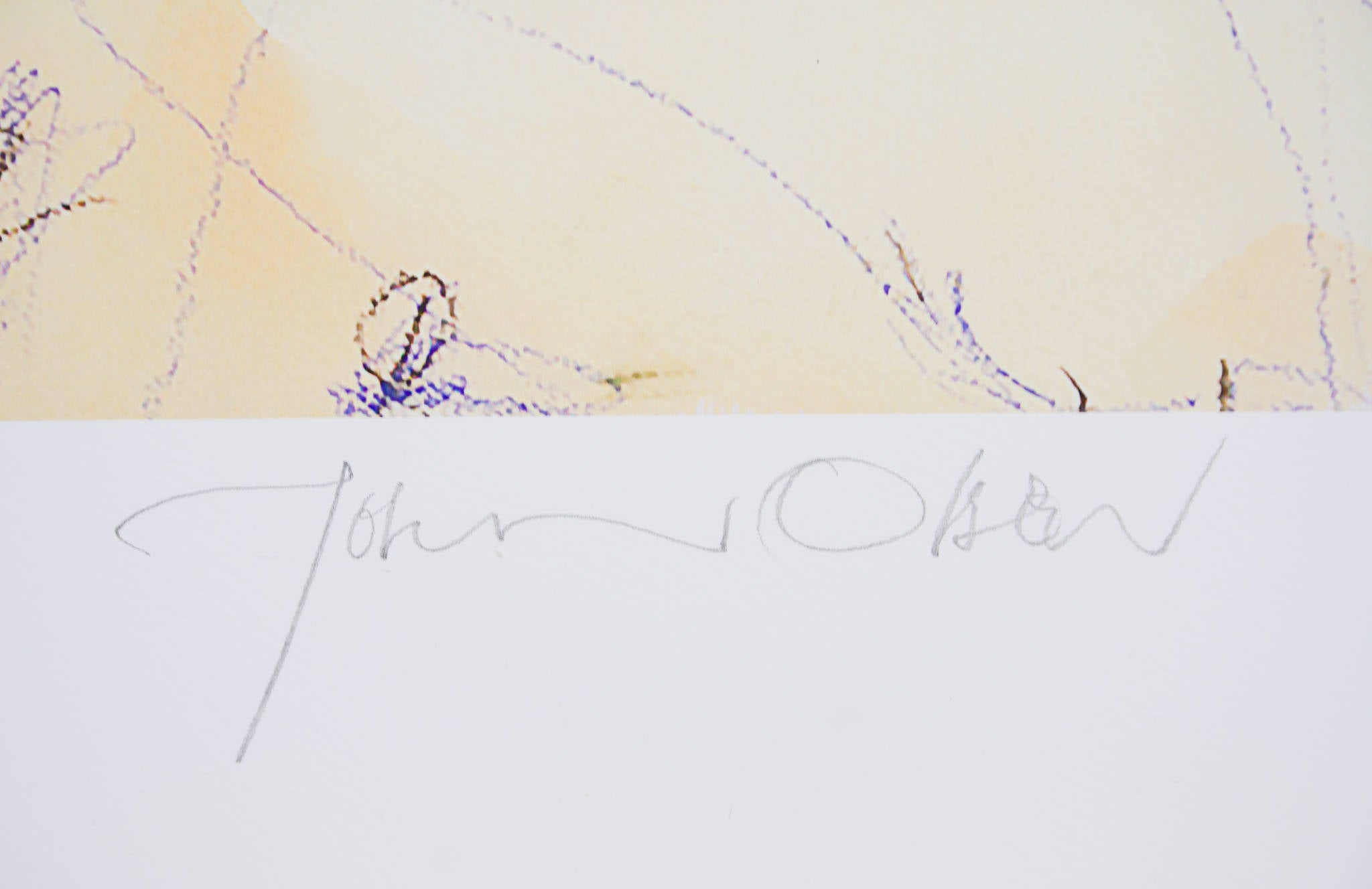 John Olsen 'Kenya'