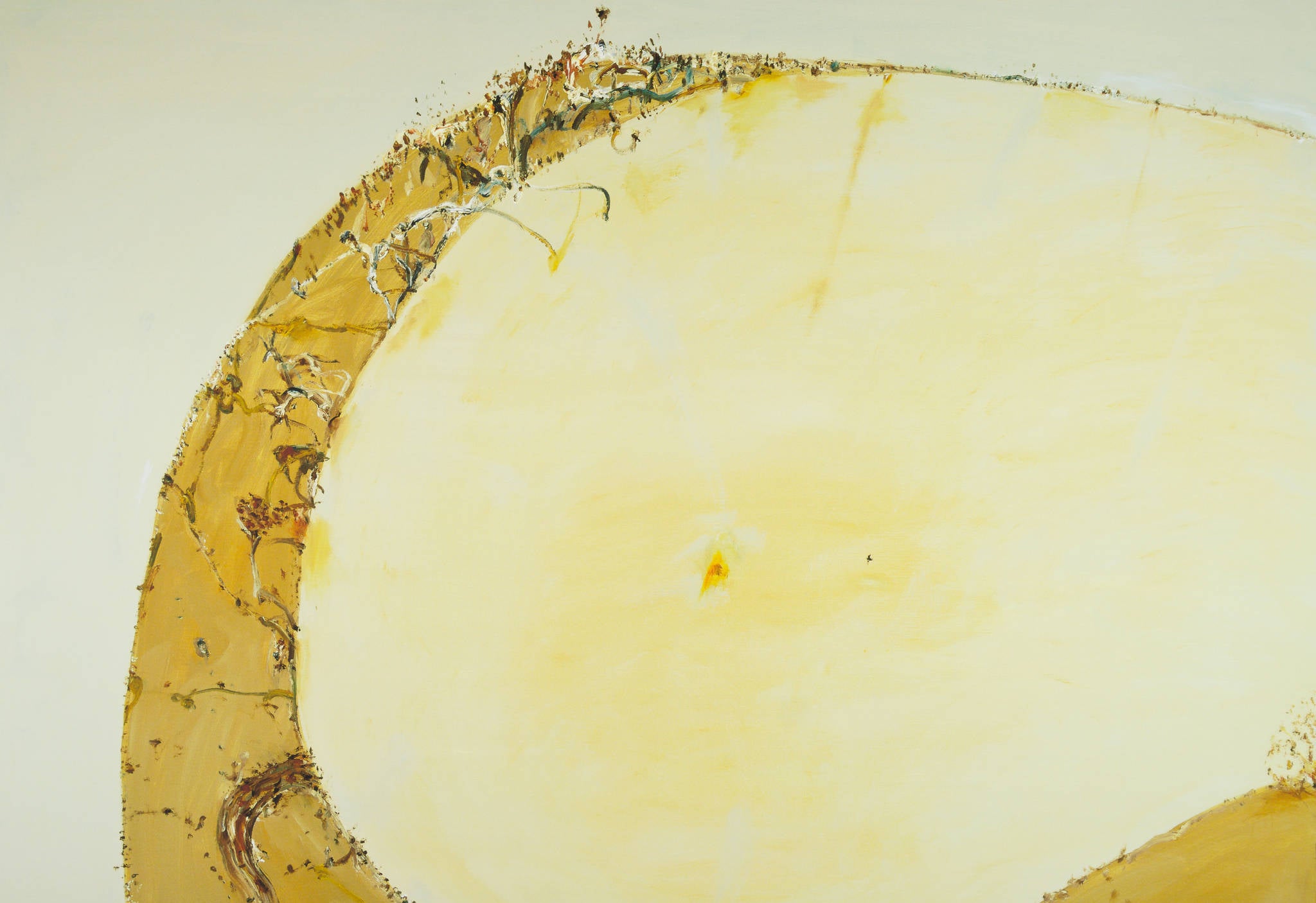 John Olsen 画集　ジョン•オルセン John Olsen 画集 ジョン•オルセン John Olsen 画集 ジョン