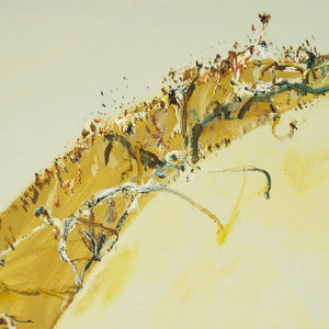 John Olsen 'Lake Hindmarsh'